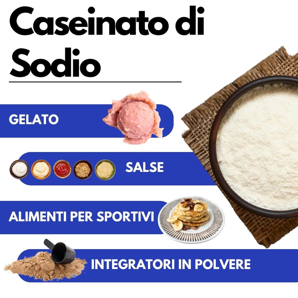 saporepuro-proteine-cas-inate-de-sodium-prot-ine-de-lait-neutre image 5