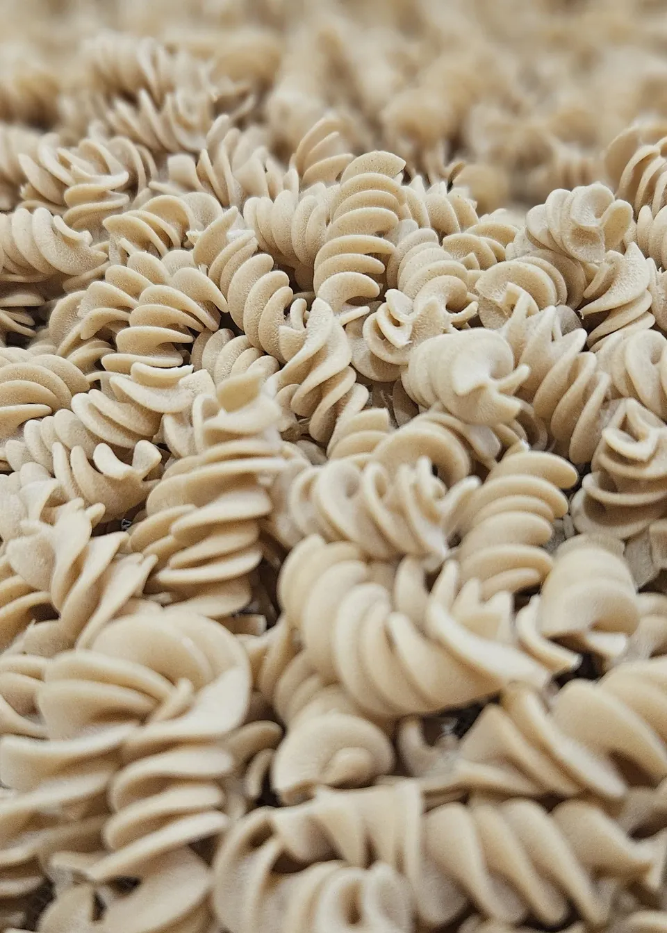 p-tes-du-vexin-fusilli-n-241-p-tes-semi-compl-tes-5-kg image 1