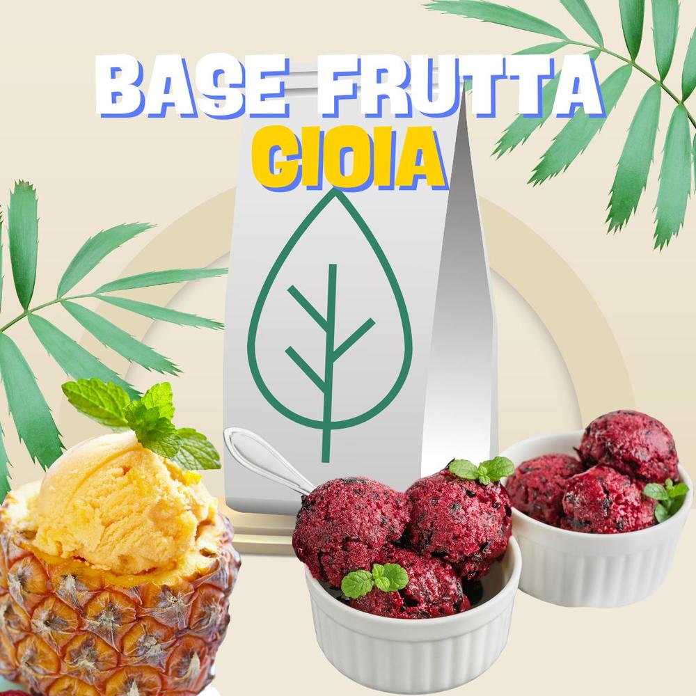 saporepuro-ninfa-240-base-sorbet-fruit-4-8-kg-sans-additifs image 1
