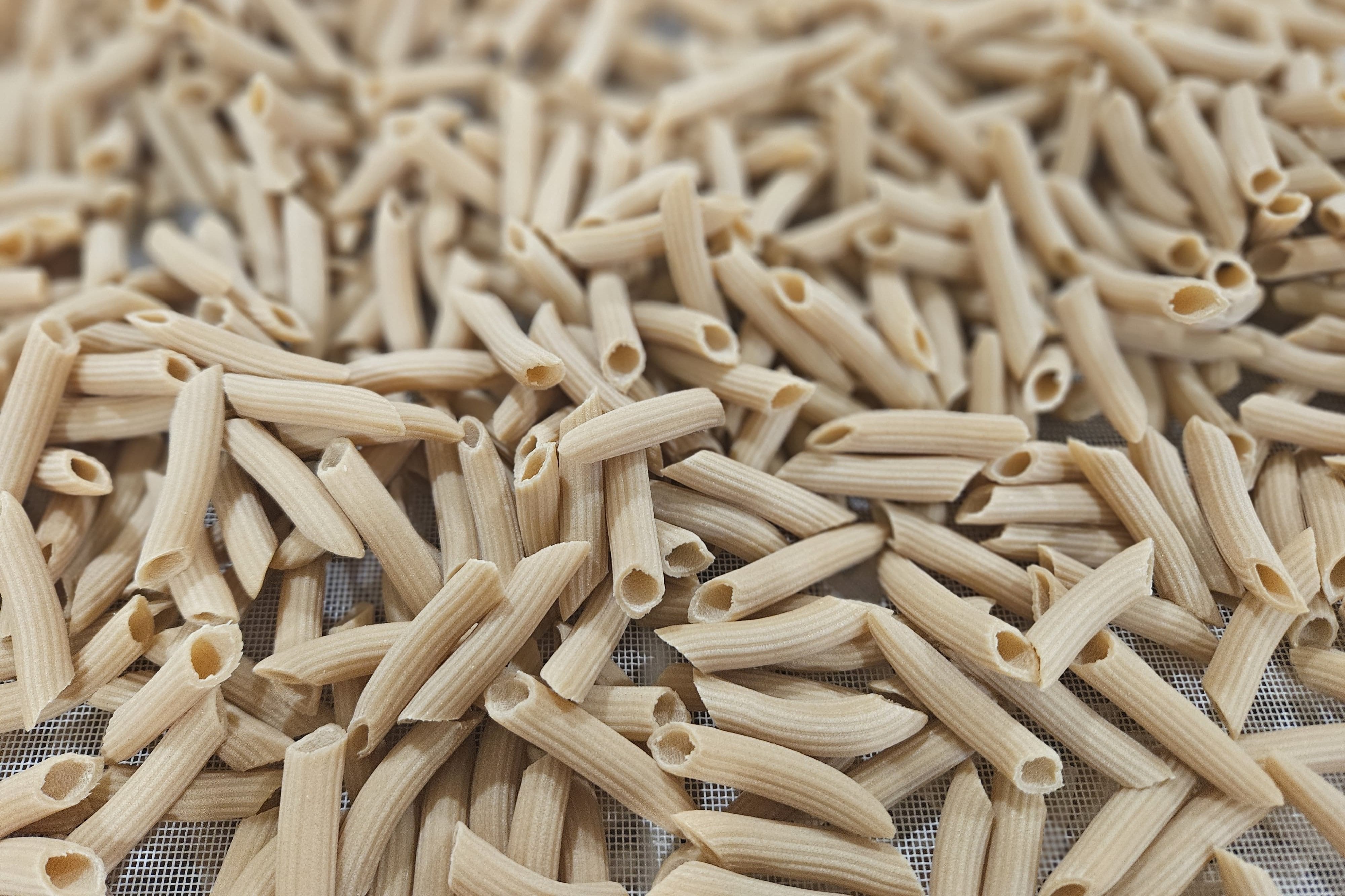 p-tes-du-vexin-nos-p-tes-penne-p-tes-semi-compl-tes-450-g image 3
