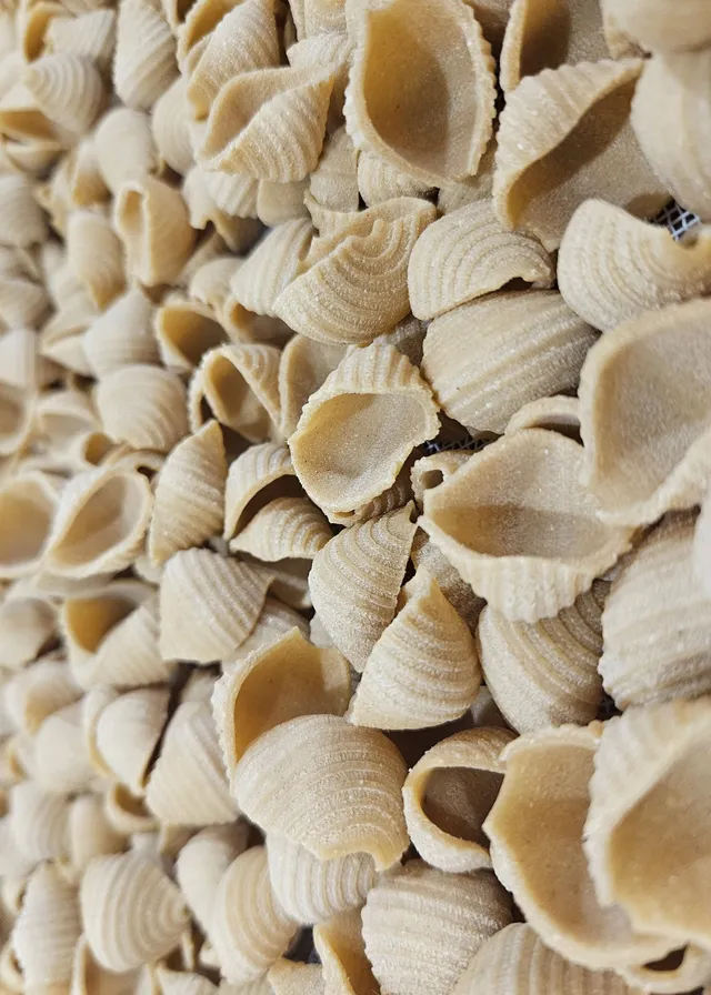 p-tes-du-vexin-nos-p-tes-conchiglies-semi-compl-tes-5-kg image 1