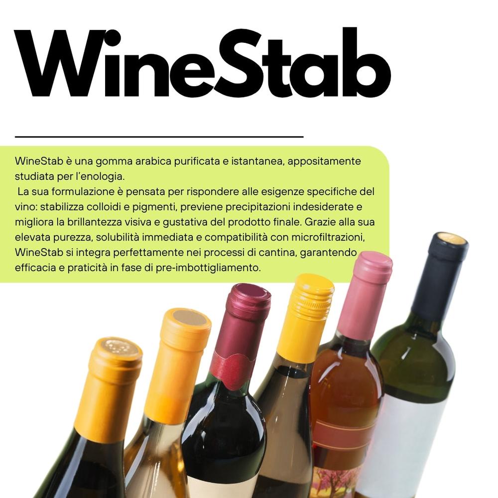 saporepuro-mixology-winestab-gomme-arabique-vin-250-g image 7