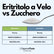 saporepuro-zuccheri-rythritol-en-poudre-1-kg-0-kcal image 6