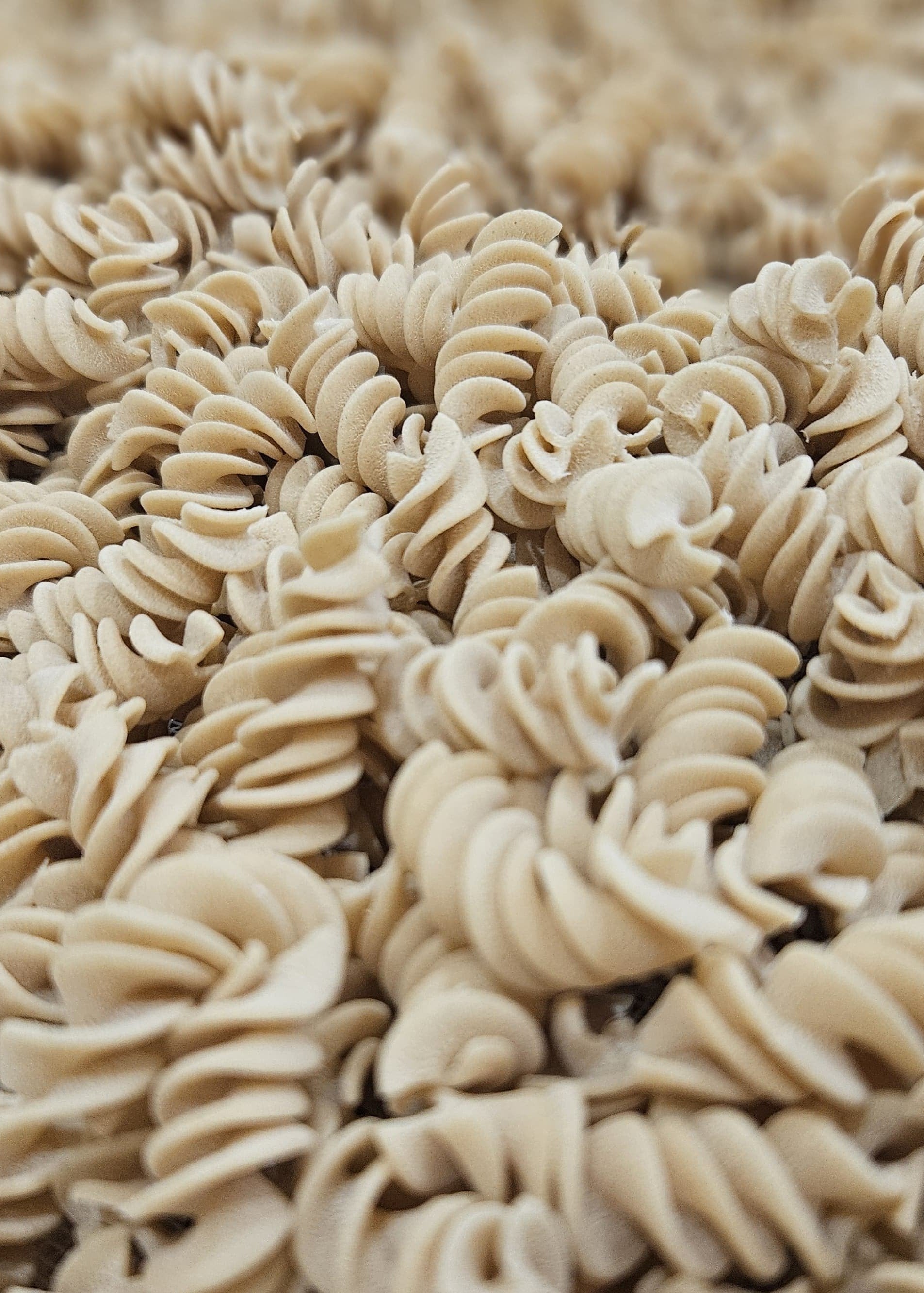 p-tes-du-vexin-fusilli-n-241-p-tes-semi-compl-tes-5-kg image 1