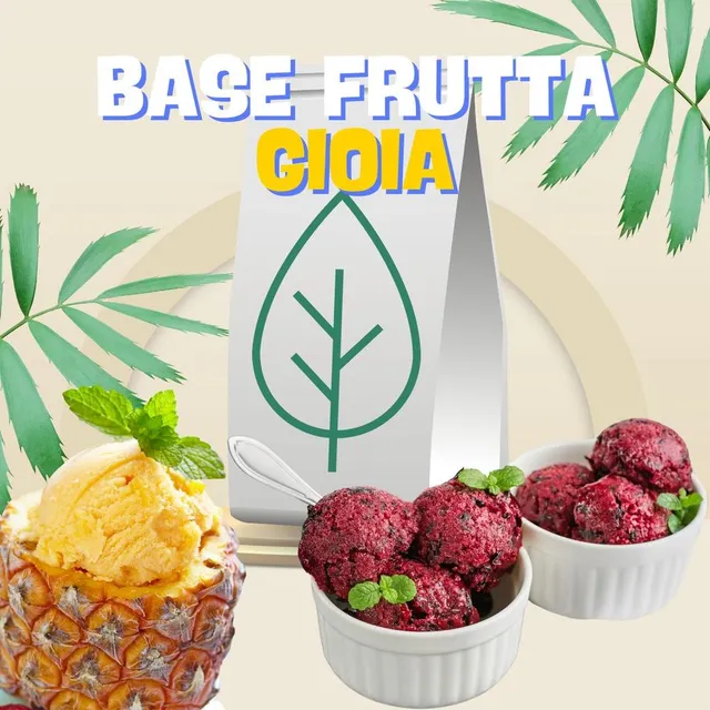 saporepuro-ninfa-240-base-sorbet-fruit-4-8-kg-sans-additifs image 1